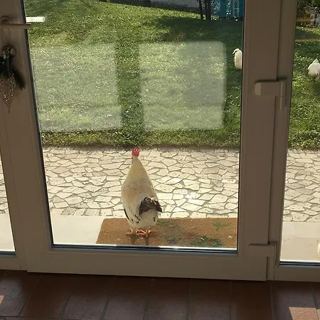 Lemire 산 피에트로 디 펠레토