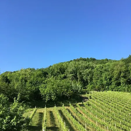 Lemire 3* San Pietro Di Feletto