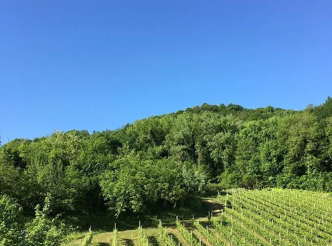 Lemire 3* San Pietro Di Feletto
